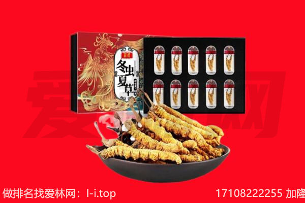 蔡甸区回收虫草.jpg
